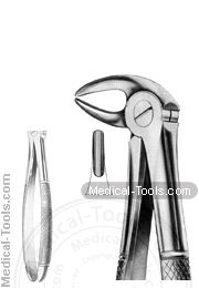 English Extracting Forceps Hertz
