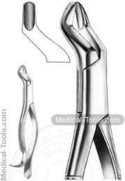 American Extracting Forceps No. 10H