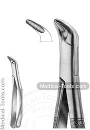 American Extracting Forceps No. 151S#1:2