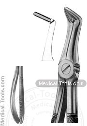 English Extracting Forceps No.50