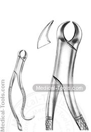 American Extracting Forceps No. 16S#1:2