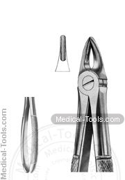 English Extracting Forceps No. 29S#1:2