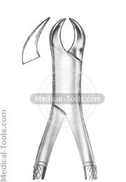 American Extracting Forceps No.23