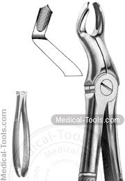 English Extracting Forceps No. 67-1/2 R