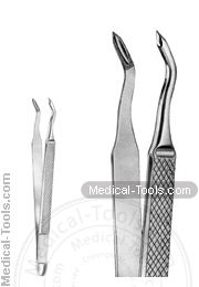 English Extracting Forceps No. 224