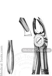 English Extracting Forceps No. 65R