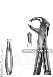 English Extracting Forceps No. 73S