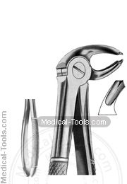 English Extracting Forceps No. 23 R
