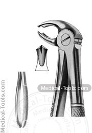 English Extracting Forceps No. 22G
