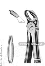 English Extracting Forceps No. 32