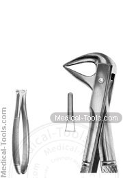 English Extracting Forceps No. 74N