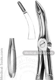 English Extracting Forceps No.44