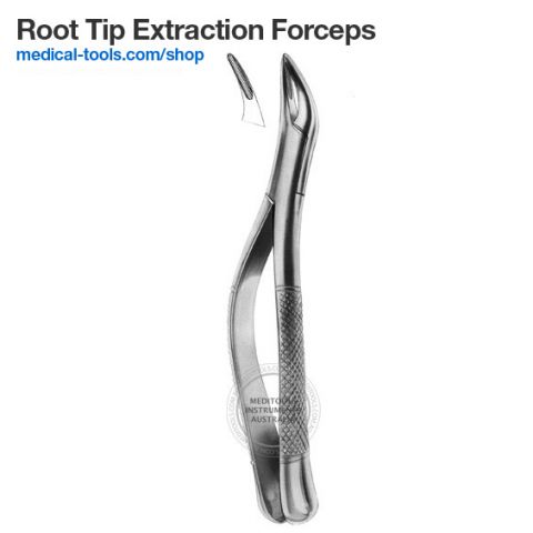 Equine Root and Fragments Forceps