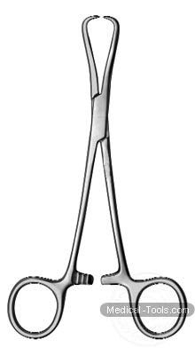 Glenoid Perforating Forceps - 6½"
