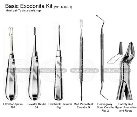 Basic Dental Prophy Kit