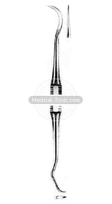 Dental Baylor Scalars 