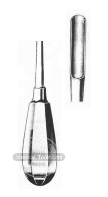 Bein Root Elevators Fig 3/4 