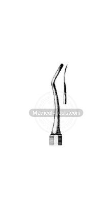 Dental Black Scalars Fig 1