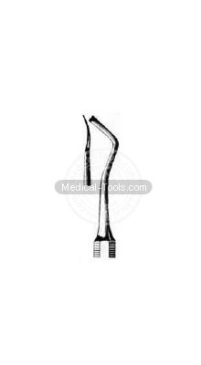 Dental Black Scalars Fig 10