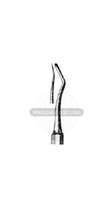 Dental Black Scalars Fig 2