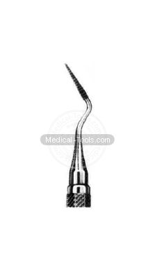 Dental Buck Scalars Fig 00