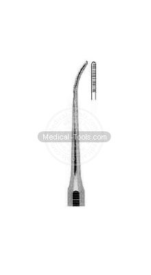 Dental Bunting Scalars Fig 13