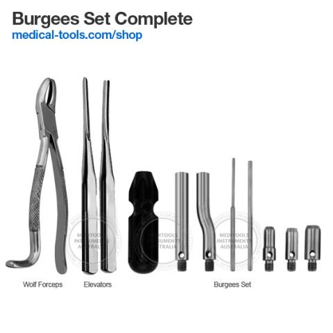Entomology Dissection Kit