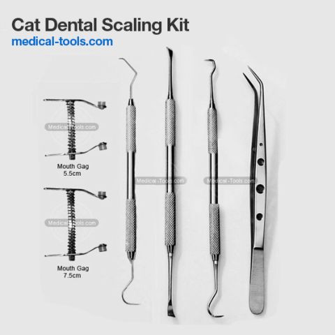 Basic Oral Surgery Kit
