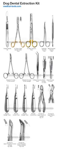 Cat Nail Clipper Kit
