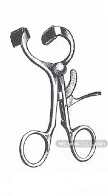 Doyen Jansen Molt 12cm