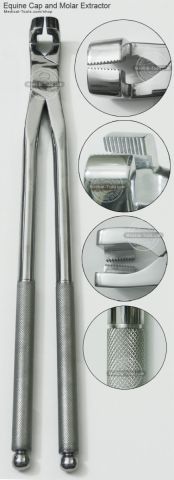 Equine Duckbill Extracting Forceps