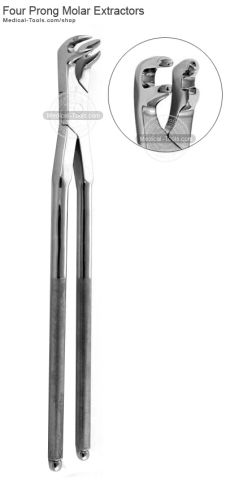 Equine Molar Extracting Forceps Set