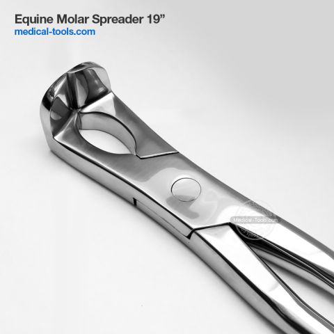 Equine 3 Prong Molar Forceps Right
