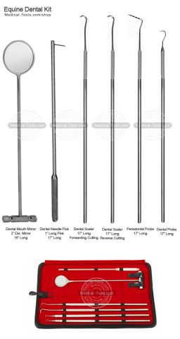 Equine Dental Mirror