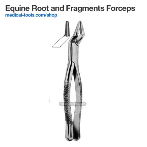 Equine Root Tip Extraction Forceps