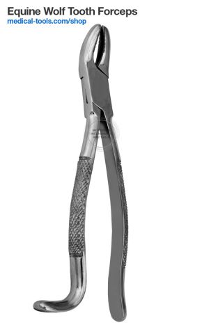 Equine Trephine 19mm