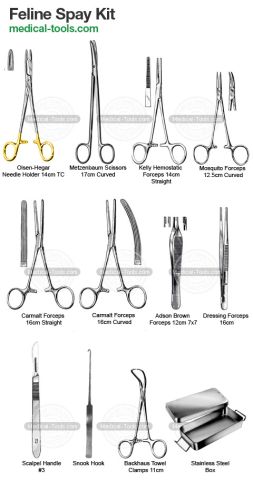 Feline Mouth Gag Set