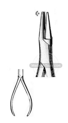 Fischer Prosthetics, Orthodontia 