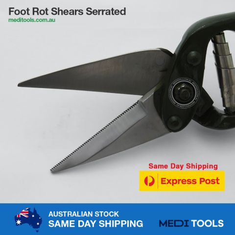 Foot Rot Shears