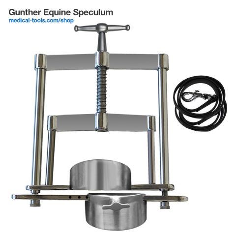 Equine Millennium Speculum