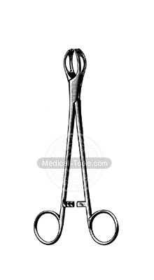 Lane Towel Forceps