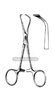 Lorna Towel Forceps 