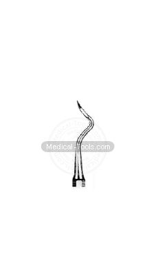 Dental McCall Scalars Fig 12A