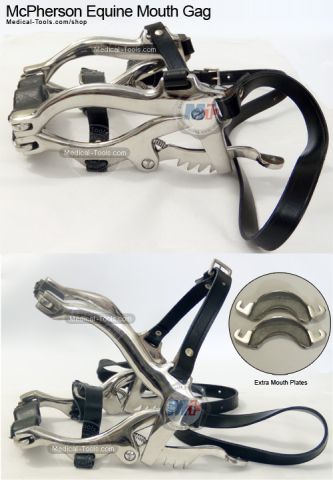 Equine Millennium Speculum