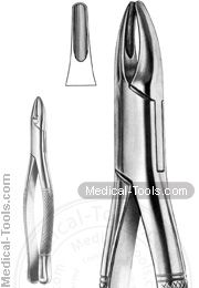 American Extracting Forceps No. 1