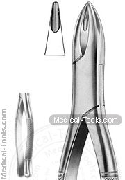 American Extracting Forceps No. 1A