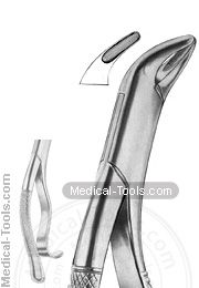 American Extracting Forceps No. 103