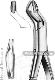 American Extracting Forceps No. 10S