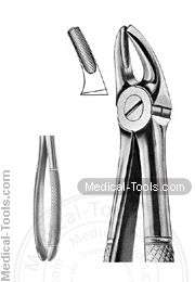 English Extracting Forceps No. 7
