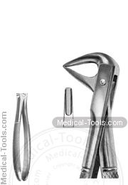 English Extracting Forceps No. 74